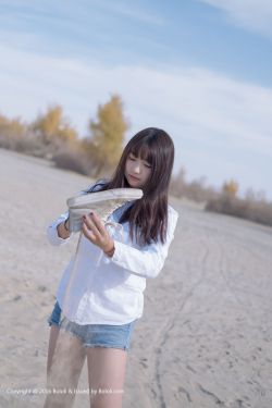 可以插纳西妲的模拟器游戏有哪些
